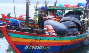 Removing the IUU yellow card - Action instead of exhortation: Blocking violations remotely